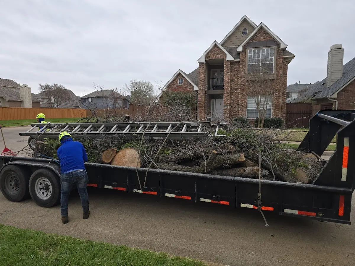 Expert Tree Removal with proper safety equipment in Eaton